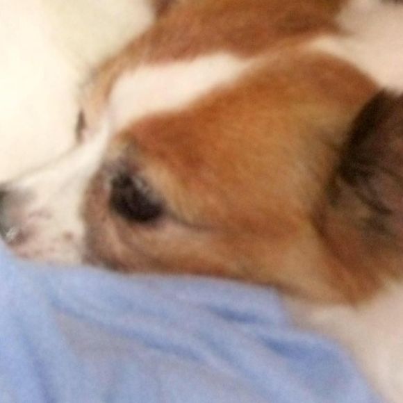 Meet your Posher, Sarah - Picture 1 of 1